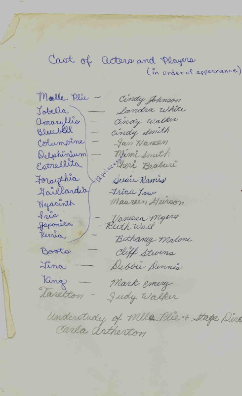  12 Dancing Princesses 